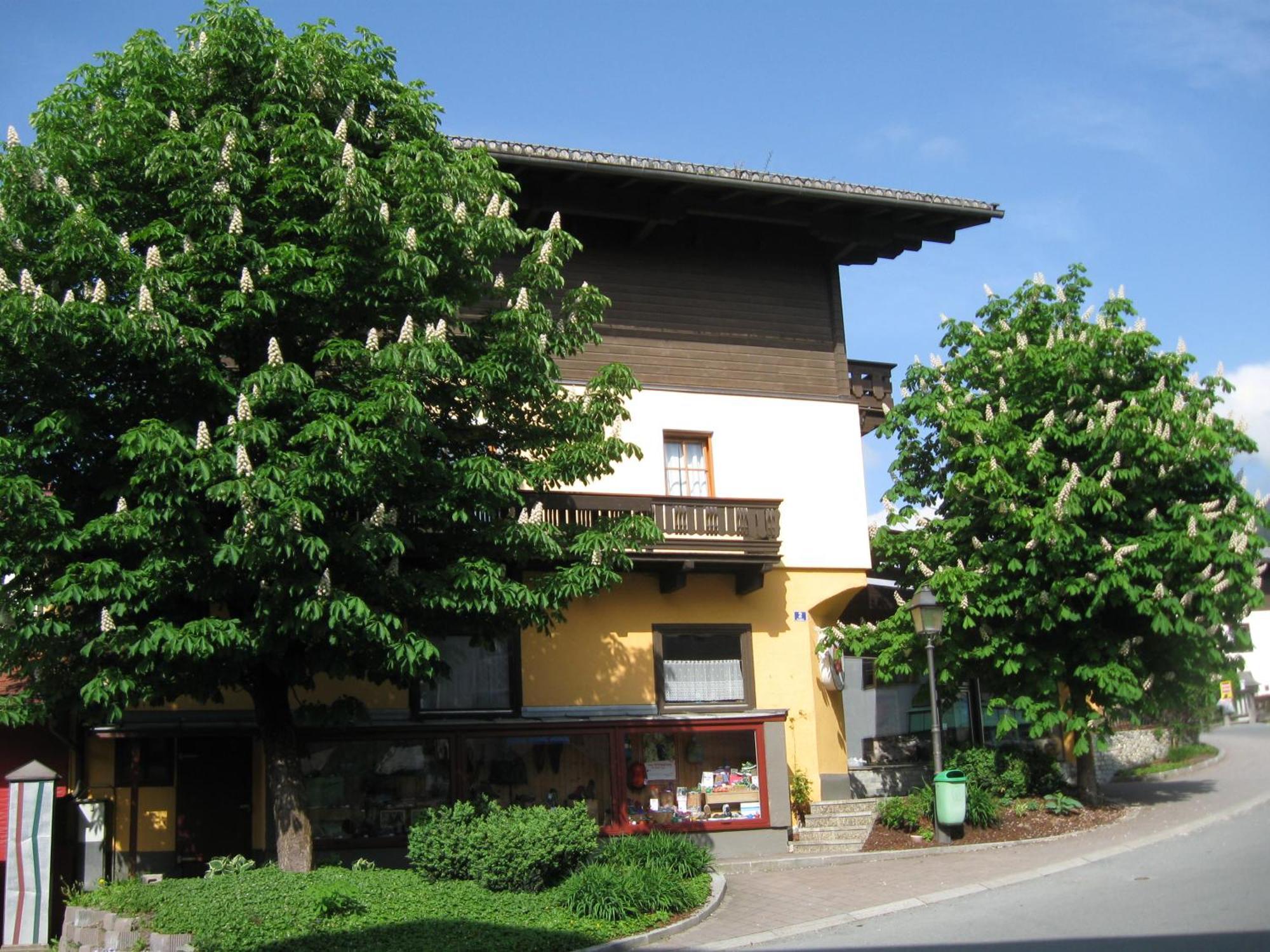 Ferienwohnung Haus am Dorfplatz Uttendorf Exterior foto